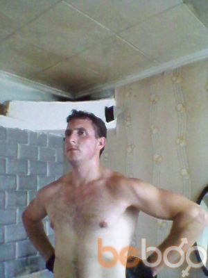 3259462  , 33 ,    