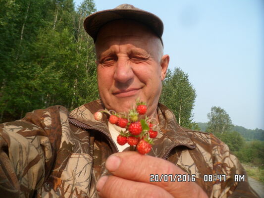  ,   , 67 ,   