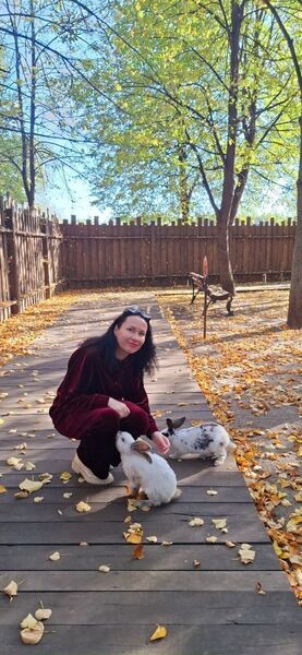  -,   , 40 ,   ,   , c 