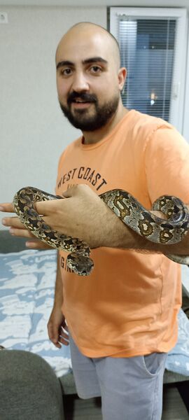  ,   David, 29 ,     , c 