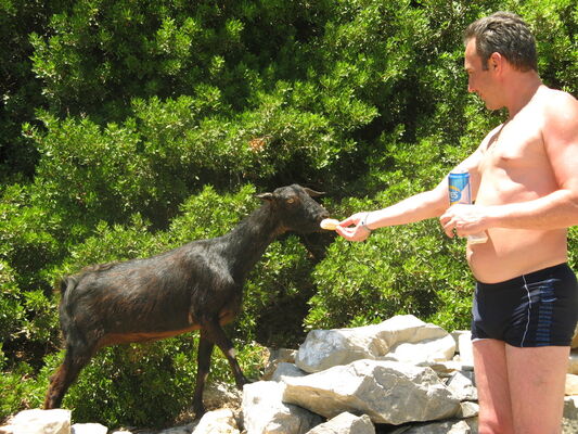  ,   , 50 ,   ,   , c 