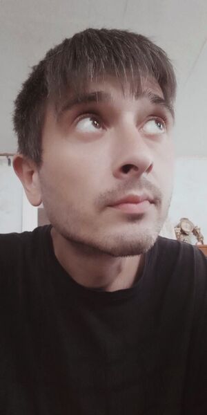 --,   , 38 ,     , c , 