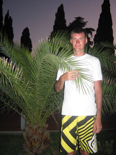  ,   , 41 ,   