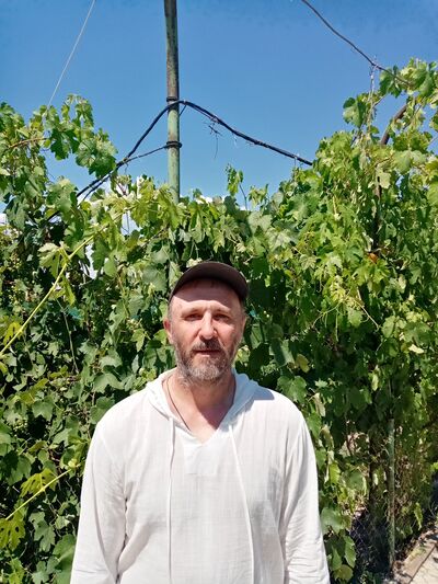  ,   , 51 ,   