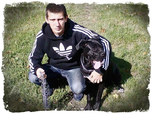  -,   , 35 ,   