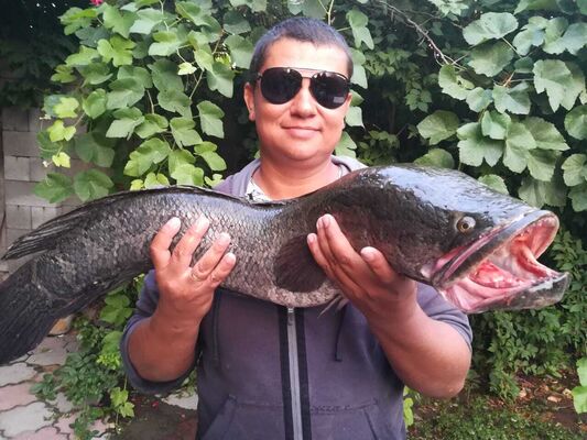 ,   Metis, 43 ,   ,   , c , 