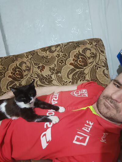  ,   , 44 ,   ,   