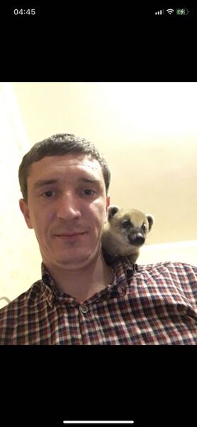  ,   , 41 ,   ,   