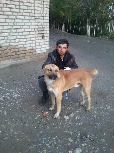  ,   ABDUKARIM, 34 ,   ,   , c 