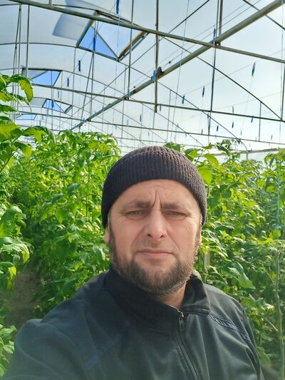 ,   , 52 ,   ,   