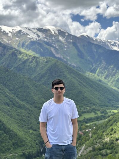 ,   TAZO, 24 ,   ,   
