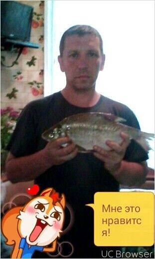 ���������� �����, ���� ������� �������, 52 ����, ������������ ��� ������, ����� � ���������, c�������� ���������