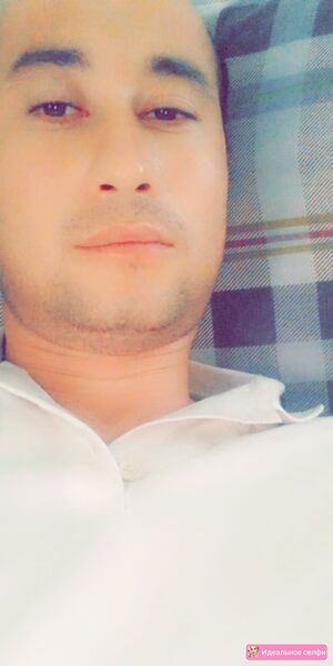  --,   , 37 ,   ,   