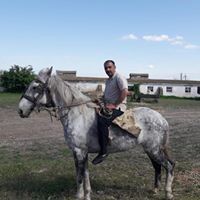  ,   Selim, 49 ,   ,   , c 