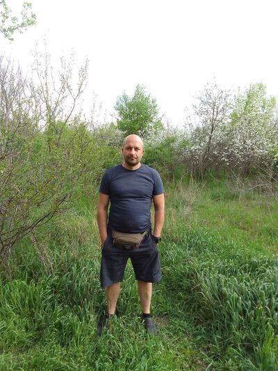  ,   , 41 ,  