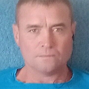  -,   Redik, 40 ,     , c , 