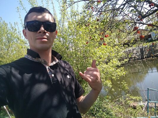  ,   VOlk, 31 ,   ,   , c 