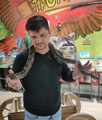  ,   , 43 ,  