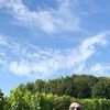  Villingen-Schwenningen,  Artur, 46