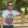   HOVO
