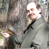   Andrew