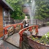  Prelouc,  LESIA, 52
