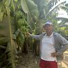 Tittmoning,  , 43