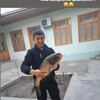   Nicco