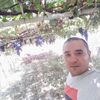   Sarvar