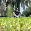   Cairo