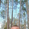  ,  , 43
