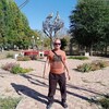  ,  , 43