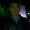   bolbe