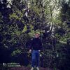  ,  zvio, 34