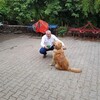   Anton
