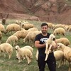   Ozkan
