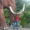   Andrey