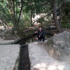   edem