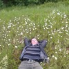   dima