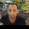   Zaur
