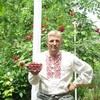   Vladimir