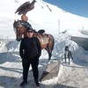   argen