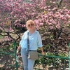  Trans-en-Provence,  , 51