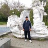  ,  , 44